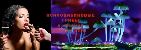 стаф Россошь