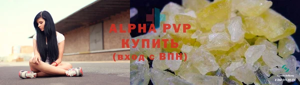 стаф Россошь