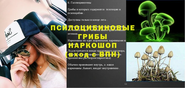 дурь Рославль
