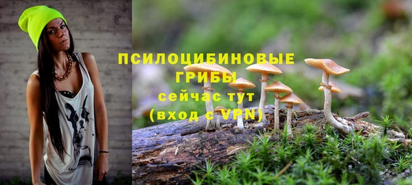 дурь Рославль