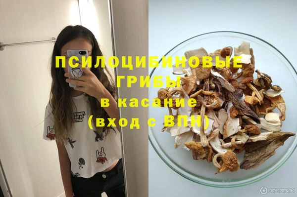 дурь Рославль