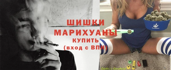 стаф Россошь