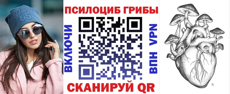MEGA   Туран  Псилоцибиновые грибы Psilocybe 